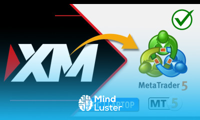 How to Create and Link XM Brokers Account to MetaTrader 5 MT5 PC or Laptop