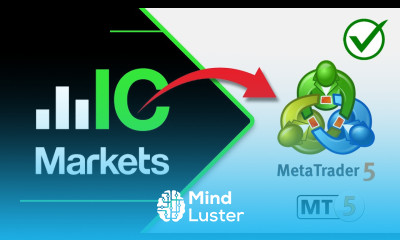  How to Create and Link IC Markets Broker Account to MetaTrader 5 MT5 Start Forex Trading 2024
