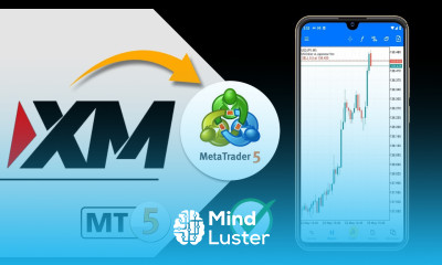  How to Link XM Broker to MetaTrader 5 on Mobile or Smartphones
