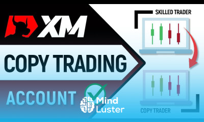  How to Create XM Copy Trading Investor Account 2024