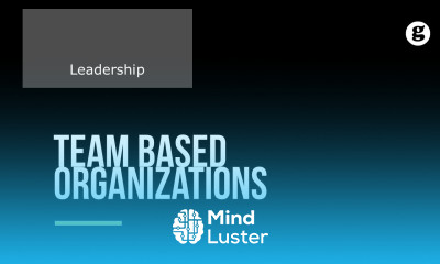 Learn Team Based Organizations - Mind Luster