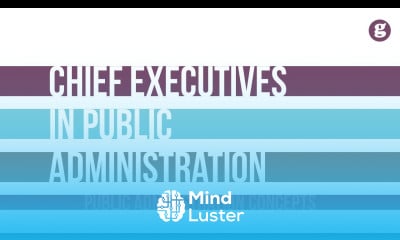 Chief Executives in Public Administration