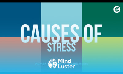 Causes of Stress