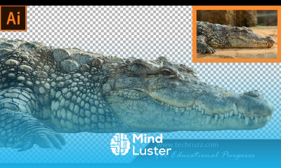 How To Remove Image Background In Adobe Illustrator CC