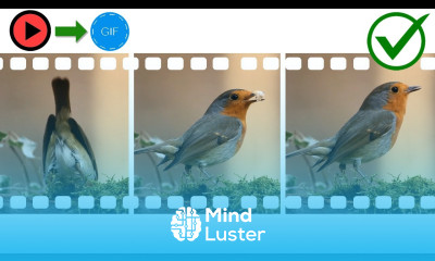 How to Convert a Video to Animated GIF in PowerPoint on Windows 10 2021