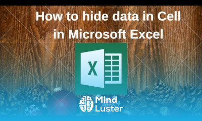 How to hide data in Cell in Microsoft Excel Khmer language