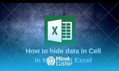 How to hide data in Cell in Microsoft Excel