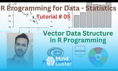 Learn Tutorial 05 Vector Data Structure in R Programming - Mind Luster