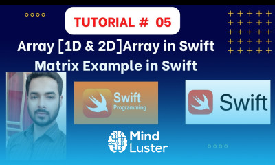 Learn Tutorial 05 Array in Swift All Types 1D vs 2D array in Swift ...