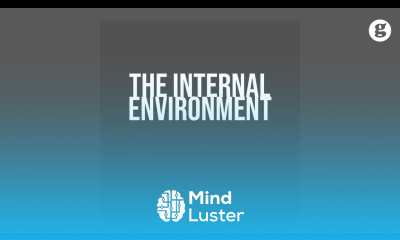 The Internal Environment