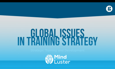 Global Issues in Training Strategy