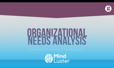 Organizational Needs Analysis