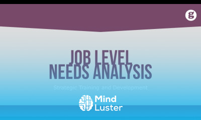 Job Level Needs Analysis