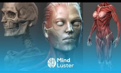 NEW FEMALE ANATOMY SCULPTING IN ZBRUSH Link in the Description