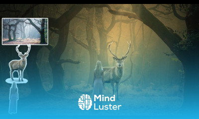 Photo Manipulation Attractive Photo Manipulation Design in Photoshop Vertex Graphic