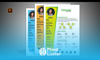 How to Professional Resume CV Design in Adobe Illustrator Cc Academic CV Vertex Graphic