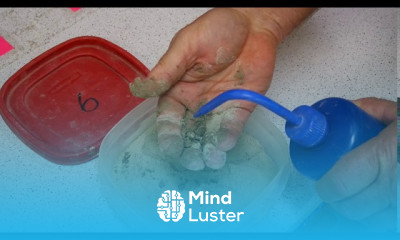 CEEN 341 Lab 11 Visual Classification of Soil