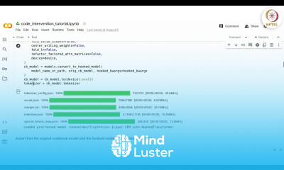 Learn Interpretability Hands on Part 1 - Mind Luster