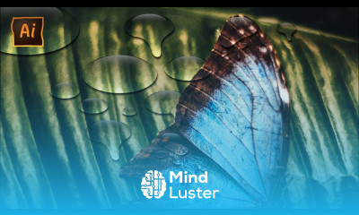 How To Create Transparent Water Drops in Adobe Illustrator Tutorial