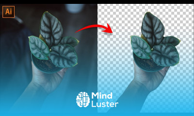 How To Remove Background Super Easy Techniques Adobe Illustrator Tutorial