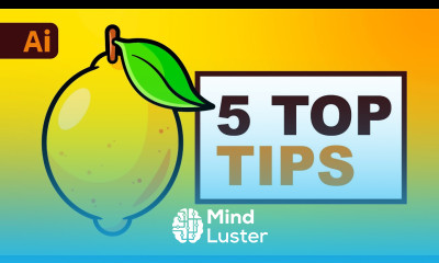 TOP 5 TIPS Drawing in Adobe Illustrator in 2022
