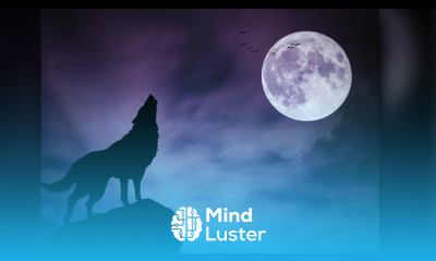 Create Silhouette Manipulation Effect in Photoshop Photoshop Tutorial