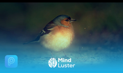 How to Add Glowing Effect Picsart Tutorial Editing