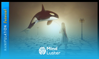 Photo Manipulation Tutorial Girl Her Whale