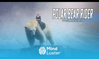 Photoshop Manipulation Tutorial Effect The Polar Bear Rider