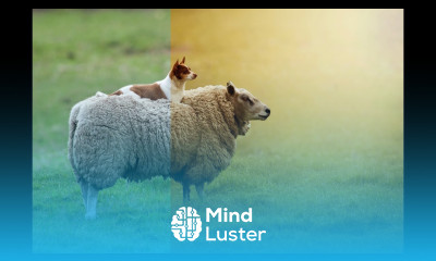 Turn Normal Photography into Professional One Wildlife Photography Photoshop CC Tutorial