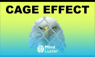 Cage Effect in CorelDraw