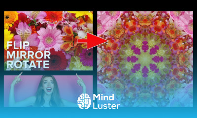 Photoshop Mirror Image Effects Designs and Patterns