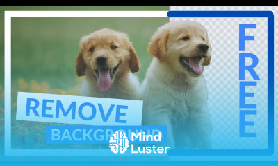 Remove Background From any Picture in Windows FREE