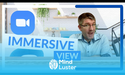 How to use Immersive view in Zoom