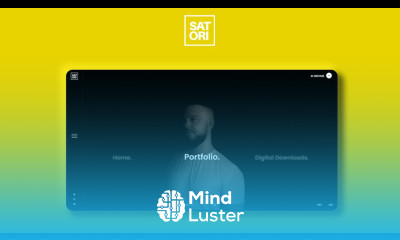 PRO Vs AMATEUR Design Portfolios With Examples