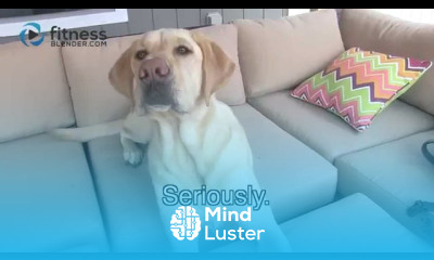 Loki Fitness Blender Do the ALS Ice Bucket Challenge Freezin For a Good Reason