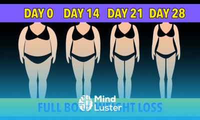 LOSE 6 KG IN 4 WEEKS – EASY FULL BODY WORKOUT NO JUMPING