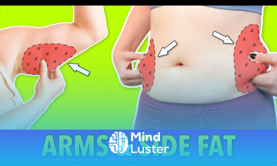 guided fat loss workouts