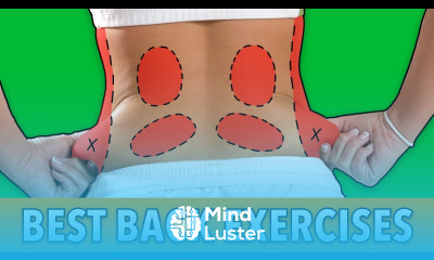 At Home Back Workout Quick Back Exercises