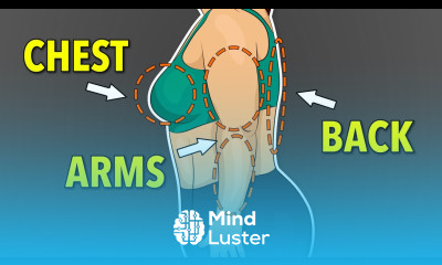 Sculpt Define Stunning Arms Chest Back Workout