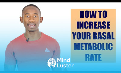 How to Increase Your Basal Metabolic Rate