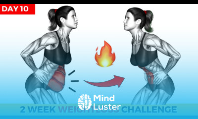 Do This 30 Min Everyday To Lose Weight Belly Fat 2 Weeks Shred Challenge DAY 10