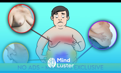 No Ads Ultimate 3 In 1 Fat Loss Workout Belly Love Handles Chest Fat