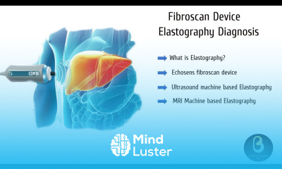 Fibroscan Device Elastography Biomedical Engineers TV