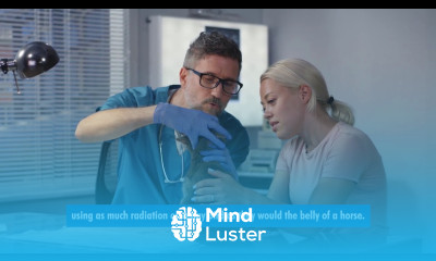 Will X RAYS Hurt MY PET