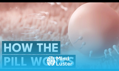 How The Pill Works Missed Pill Skipping Period