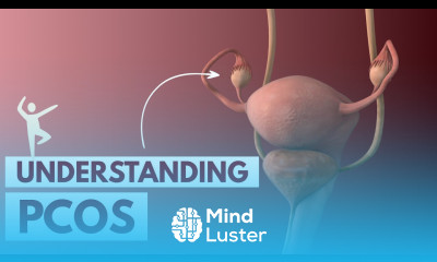 Understanding PCOS 3D Animation