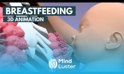 Breastfeeding 3D Animation
