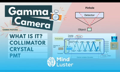 Gamma camera Components Function l Visual explanation