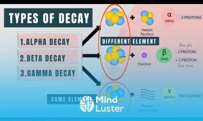 Different types of decay Alpha vs Beta vs Gamma decay Visual Explanation